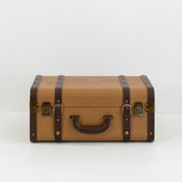 Nico storage box in mid-century modern room, holding jewelry and watches on a vanity